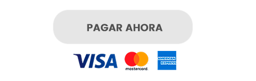 Ir al pago
